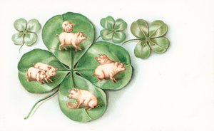 Klaverblad met varkens op elk blad