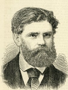 Francis Edmund Anstie (1833-74) Illustratie door English School