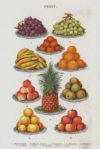 Fruit (chromolitho) door English School