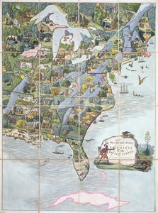 Spel van de Star-Spangled Banner of Emigranten naar de Verenigde Staten, bordspel ca. 1860