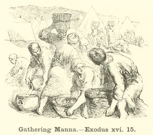 Het verzamelen van manna, Exodus, xvi, 15