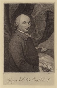 George Stubbs door English School