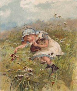 Meisje en een kat slapen in een veld door English School
