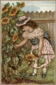 Meisje plukt zonnebloemen in een tuin door English School