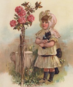 Meisje met een kat en een rozenboom door English School