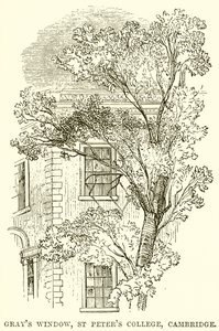 Grays Raam, St. Peters College, Cambridge door English School