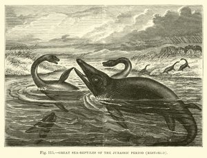 Grote zeereptielen van de Jura periode, gerestaureerd door English School