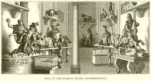 Hal van de Dieren (Museo Pio-Clementino) door English School