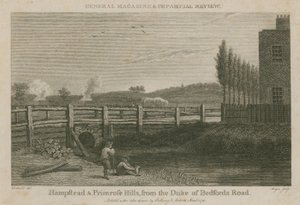 Hampstead en Primrose Hills, vanaf de weg van de hertog van Bedford door English School