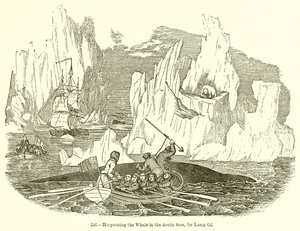 Harpoeneren van de Walvis in de Arctische Zeeën, voor Lampolie door English School
