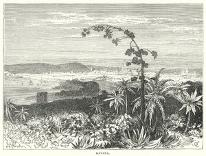 Havana (gravure) door English School