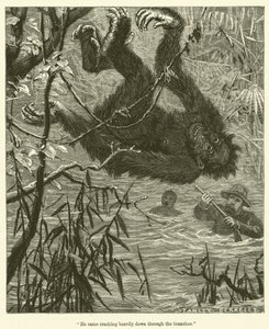 "Hij kwam zwaar neergestort door de takken" (gravure)
