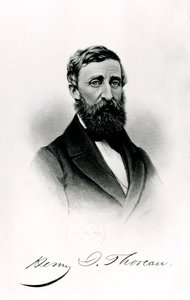 Henry David Thoreau (1817-62) door English School