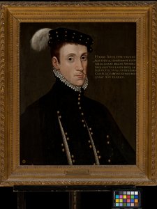 Henry Fitzalan, Lord Maltravers (1538-1556)