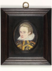 Henry Prins van Wales