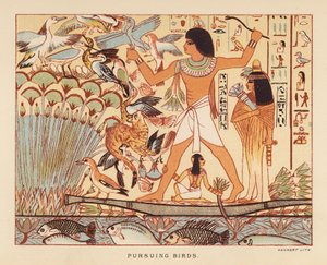 Herodotus: Vogels achterna