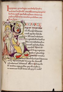 Geïllustreerde initiaal 