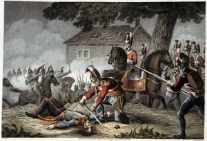 Paardenwacht op het slagveld bij Waterloo in 