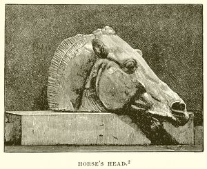 Paardenhoofd