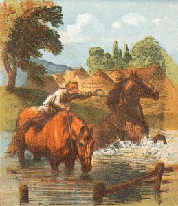 Paarden drinken in een vijver