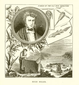 Hugh Miller door English School