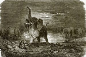 Jager en olifant door English School