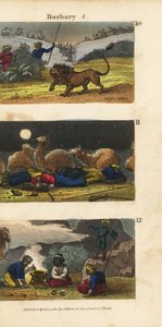 Leeuwen jagen in de Barbarijse staten, kamelen en drijvers slapen in de woestijn en Arabieren nodigen reizigers uit om te dineren