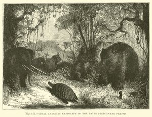 Ideaal Amerikaans landschap van de latere Pleistoceen periode