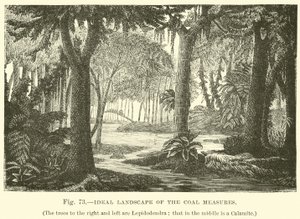 Ideaal landschap van de steenkoollagen door English School