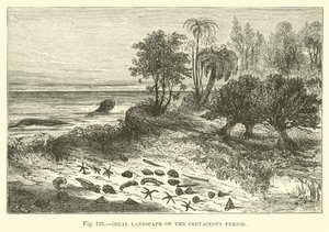 Ideaal landschap van de Krijt periode door English School