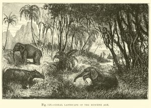 Ideaal landschap van de Mioceen periode