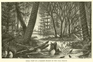 Ideaal uitzicht op een moerassig bos uit het steenkooltijdperk (gravure)