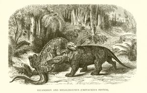 Iguanodon en Megalosaurus, Krijtsysteem door English School