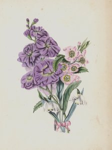 Illustratie voor Moss Rose Album door English School