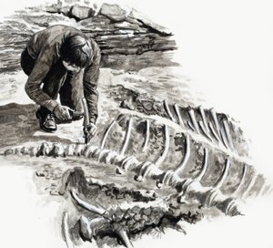 In de dagen van de dinosauriërs: Strijd der giganten door English School