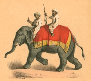 Indianen op een olifant