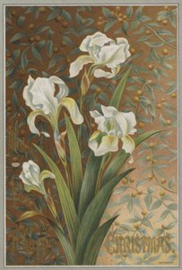 Iris (chromolitho) door English School