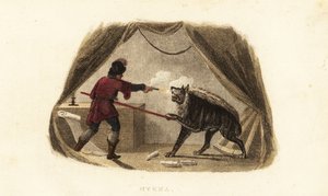 James Bruce doodt een hyena met pistool en speer in zijn tent in Maitsha, Abessinië (bij Gondar, Ethiopië)