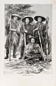 Japanse boeren