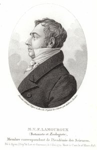 Jean Vincent Félix Lamouroux door English School