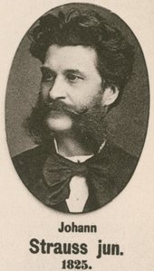 Johann Strauss Junior door English School