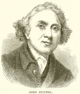 John Hunter door English School