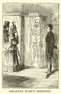 Jonathan Wilds skelet door English School