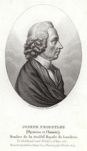 Joseph Priestley door English School