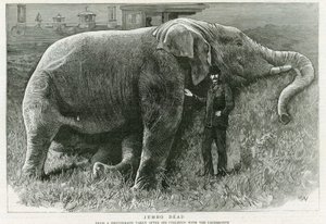 Jumbo, dood