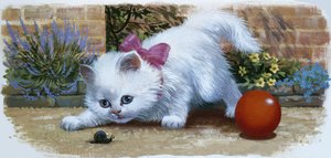 Kitten met slak en bal