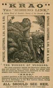 Krao, De Ontbrekende Schakel, tentoongesteld in het Aquarium, Westminster, Londen, in 1887 door English School