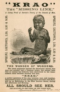 Krao, De Ontbrekende Schakel, tentoongesteld in het Aquarium, Westminster, Londen, in 1887