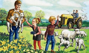 Lammetjes in de lente