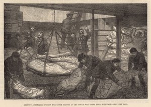 Australisch bevroren vlees lossen in de South West India Dock, Millwall
